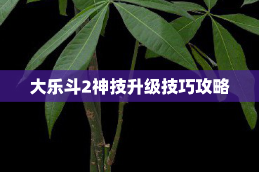 大乐斗2神技升级技巧攻略
