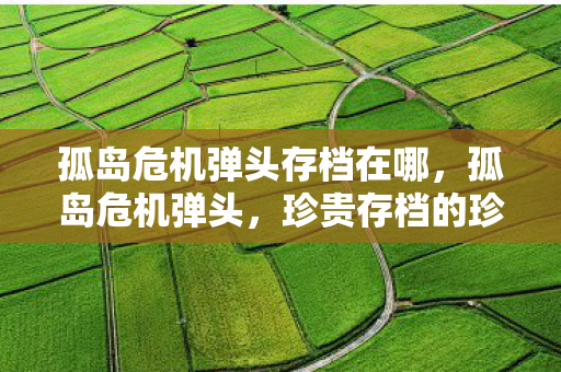 孤岛危机弹头存档在哪，孤岛危机弹头，珍贵存档的珍贵之处