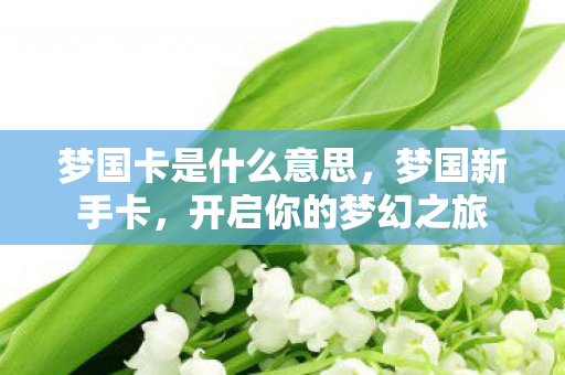 梦国卡是什么意思,梦国新手卡,开启你的梦幻之旅 梦国卡是什么意思,梦国新手卡,开启你的梦幻之旅