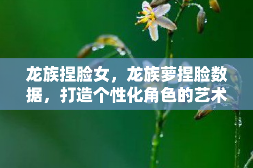 龙族捏脸女,龙族萝捏脸数据,打造个性化角色的艺术 龙族捏脸女,龙族萝捏脸数据,打造个性化角色的艺术