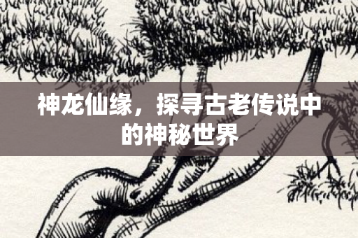 神龙仙缘,探寻古老传说中的神秘世界 神龙仙缘,探寻古老传说中的神秘世界