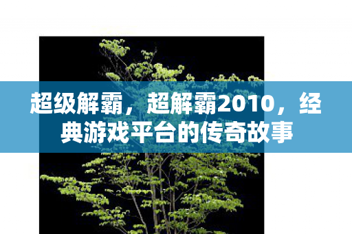 超级解霸,超解霸2010,经典游戏平台的传奇故事 超级解霸,超解霸2010,经典游戏平台的传奇故事