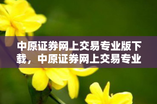 中原证券网上交易专业版下载,中原证券网上交易专业版,高效、安全、便捷的在线交易新体验 中原证券网上交易专业版下载,中原证券网上交易专业版,高效、安全、便捷的在线交易新体验