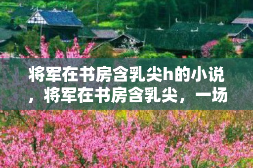 将军在书房含乳尖h的小说,将军在书房含乳尖,一场隐秘而微妙的权力游戏 将军在书房含乳尖h的小说,将军在书房含乳尖,一场隐秘而微妙的权力游戏