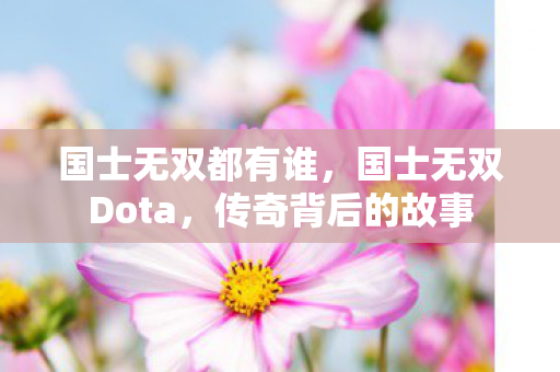 国士无双都有谁,国士无双Dota,传奇背后的故事 国士无双都有谁,国士无双Dota,传奇背后的故事