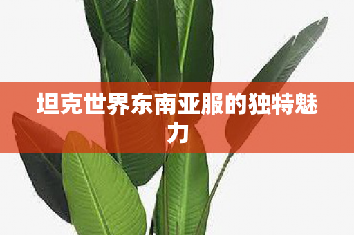 坦克世界东南亚服的独特魅力 坦克世界东南亚服的独特魅力