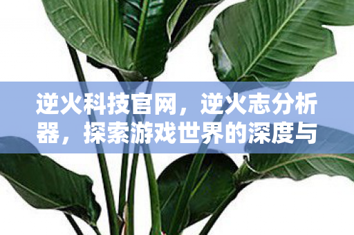 逆火科技官网,逆火志分析器,探索游戏世界的深度与广度 逆火科技官网,逆火志分析器,探索游戏世界的深度与广度