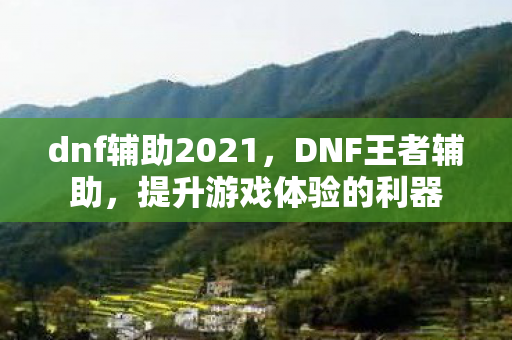 dnf辅助2021，DNF王者辅助，提升游戏体验的利器
