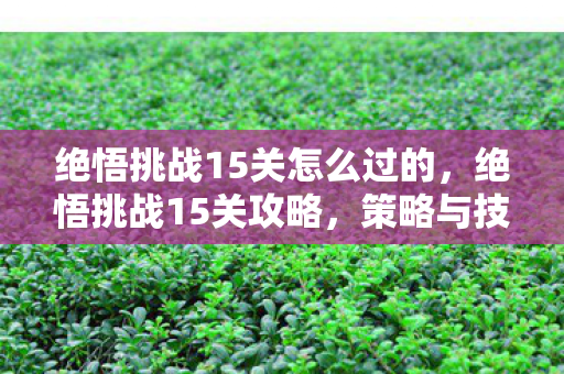 绝悟挑战15关怎么过的，绝悟挑战15关攻略，策略与技巧的深度剖析