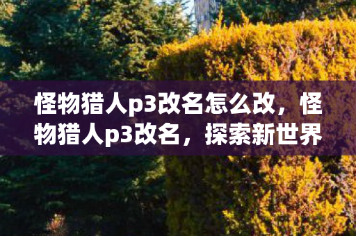 怪物猎人p3改名怎么改,怪物猎人p3改名,探索新世界的奇幻之旅 怪物猎人p3改名怎么改,怪物猎人p3改名,探索新世界的奇幻之旅