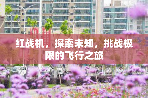 红战机,探索未知,挑战极限的飞行之旅 红战机,探索未知,挑战极限的飞行之旅