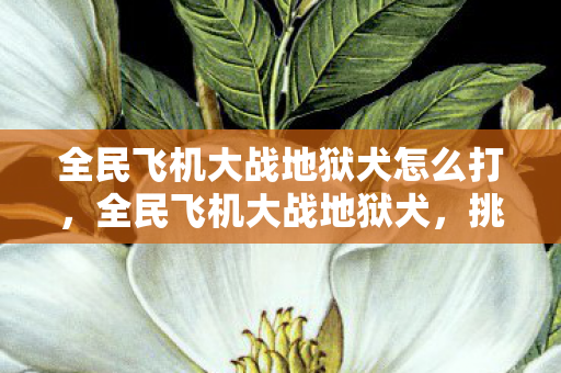 全民飞机大战地狱犬怎么打,全民飞机大战地狱犬,挑战极限的空中激战 全民飞机大战地狱犬怎么打,全民飞机大战地狱犬,挑战极限的空中激战