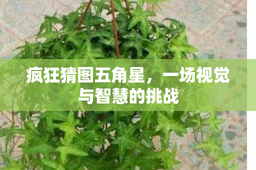 疯狂猜图五角星,一场视觉与智慧的挑战 疯狂猜图五角星,一场视觉与智慧的挑战