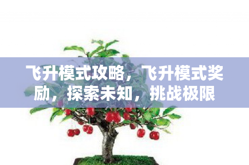 飞升模式攻略,飞升模式奖励,探索未知,挑战极限 飞升模式攻略,飞升模式奖励,探索未知,挑战极限