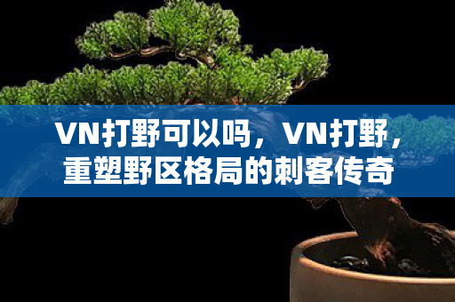 VN打野可以吗,VN打野,重塑野区格局的刺客传奇 VN打野可以吗,VN打野,重塑野区格局的刺客传奇