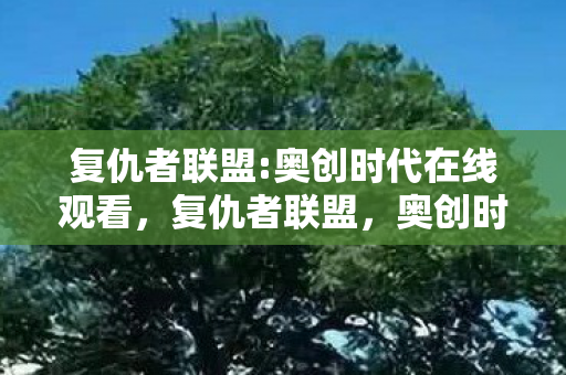 复仇者联盟:奥创时代在线观看，复仇者联盟，奥创时代—科技与正义的交响曲