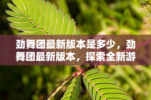 劲舞团最新版本是多少,劲舞团最新版本,探索全新游戏体验与社交互动 劲舞团最新版本是多少,劲舞团最新版本,探索全新游戏体验与社交互动