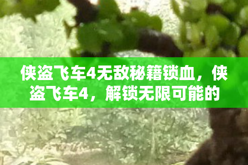 侠盗飞车4无敌秘籍锁血,侠盗飞车4,解锁无限可能的无敌秘籍 侠盗飞车4无敌秘籍锁血,侠盗飞车4,解锁无限可能的无敌秘籍