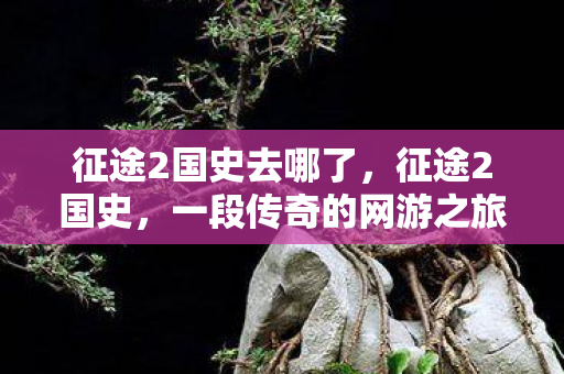 征途2国史去哪了,征途2国史,一段传奇的网游之旅 征途2国史去哪了,征途2国史,一段传奇的网游之旅
