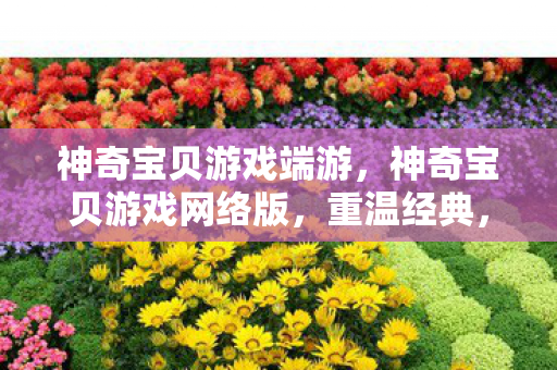 神奇宝贝游戏端游,神奇宝贝游戏网络版,重温经典,探索无限可能 神奇宝贝游戏端游,神奇宝贝游戏网络版,重温经典,探索无限可能