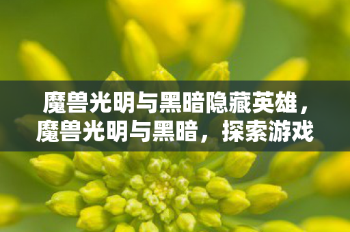 魔兽光明与黑暗隐藏英雄,魔兽光明与黑暗,探索游戏世界的双重面貌 魔兽光明与黑暗隐藏英雄,魔兽光明与黑暗,探索游戏世界的双重面貌