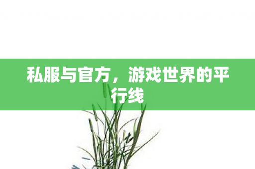 私服与官方,游戏世界的平行线 私服与官方,游戏世界的平行线