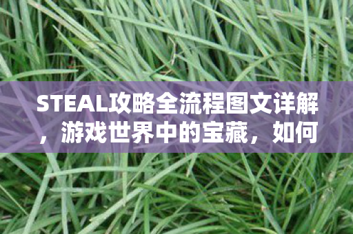STEAL攻略全流程图文详解，游戏世界中的宝藏，如何高效获取稀有装备与资源