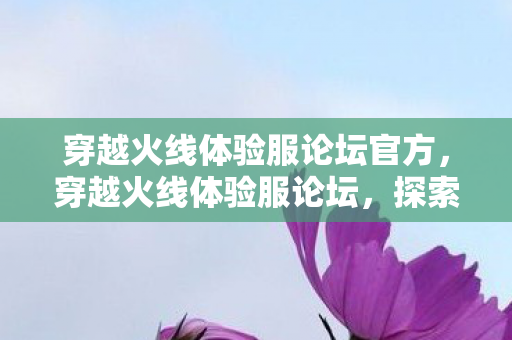 穿越火线体验服论坛官方,穿越火线体验服论坛,探索未知的游戏世界 穿越火线体验服论坛官方,穿越火线体验服论坛,探索未知的游戏世界