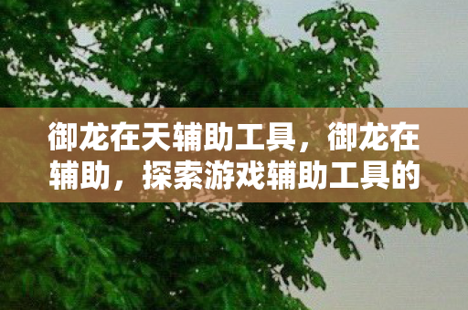 御龙在天辅助工具,御龙在辅助,探索游戏辅助工具的正途与误区 御龙在天辅助工具,御龙在辅助,探索游戏辅助工具的正途与误区