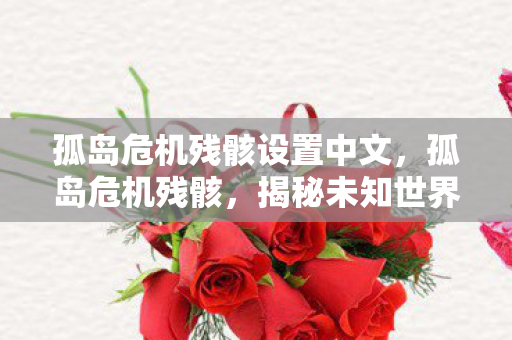 孤岛危机残骸设置中文，孤岛危机残骸，揭秘未知世界的神秘面纱