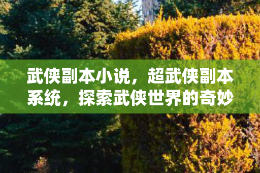 武侠副本小说,超武侠副本系统,探索武侠世界的奇妙之旅 武侠副本小说,超武侠副本系统,探索武侠世界的奇妙之旅