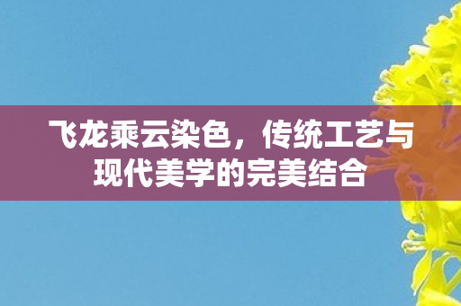 飞龙乘云染色,传统工艺与现代美学的完美结合 飞龙乘云染色,传统工艺与现代美学的完美结合