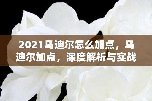 2021乌迪尔怎么加点,乌迪尔加点,深度解析与实战应用 2021乌迪尔怎么加点,乌迪尔加点,深度解析与实战应用