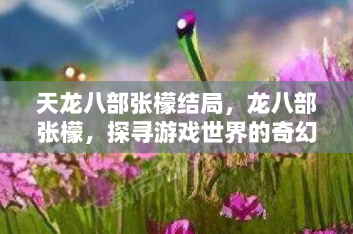 天龙八部张檬结局，龙八部张檬，探寻游戏世界的奇幻之旅