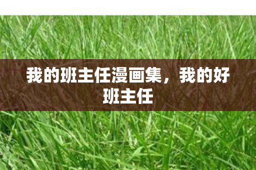 我的班主任漫画集,我的好班主任 我的班主任漫画集,我的好班主任