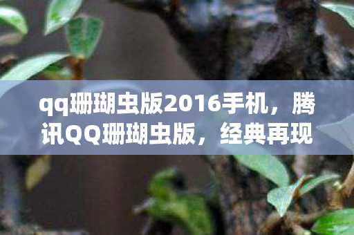 qq珊瑚虫版2016手机,腾讯QQ珊瑚虫版,经典再现,回忆杀 qq珊瑚虫版2016手机,腾讯QQ珊瑚虫版,经典再现,回忆杀