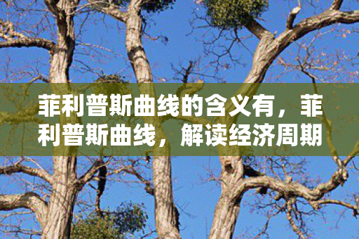 菲利普斯曲线的含义有,菲利普斯曲线,解读经济周期与失业率的动态关系 菲利普斯曲线的含义有,菲利普斯曲线,解读经济周期与失业率的动态关系