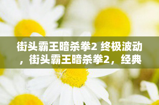 街头霸王暗杀拳2 终极波动，街头霸王暗杀拳2，经典续作的战斗艺术