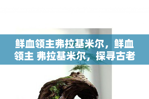 鲜血领主弗拉基米尔，鲜血领主 弗拉基米尔，探寻古老血脉的传奇故事
