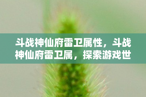 斗战神仙府雷卫属性,斗战神仙府雷卫属,探索游戏世界的独特魅力 斗战神仙府雷卫属性,斗战神仙府雷卫属,探索游戏世界的独特魅力