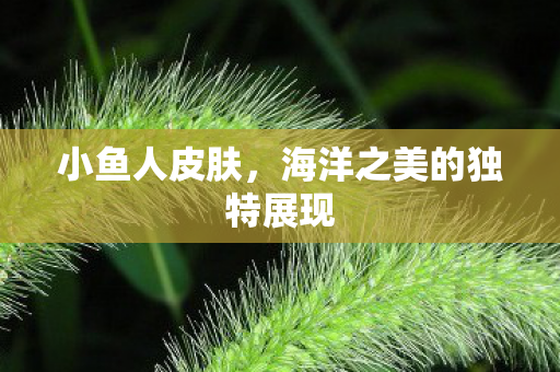小鱼人皮肤，海洋之美的独特展现