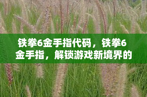 铁拳6金手指代码，铁拳6 金手指，解锁游戏新境界的秘籍