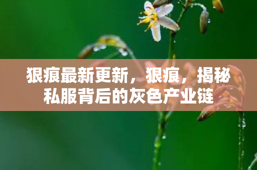 狠痕最新更新,狠痕,揭秘私服背后的灰色产业链 狠痕最新更新,狠痕,揭秘私服背后的灰色产业链