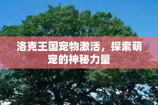 洛克王国宠物激活，探索萌宠的神秘力量