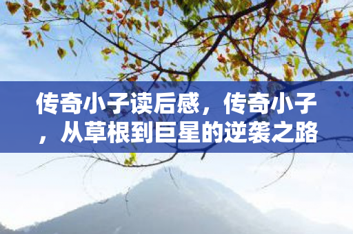 传奇小子读后感,传奇小子,从草根到巨星的逆袭之路 传奇小子读后感,传奇小子,从草根到巨星的逆袭之路
