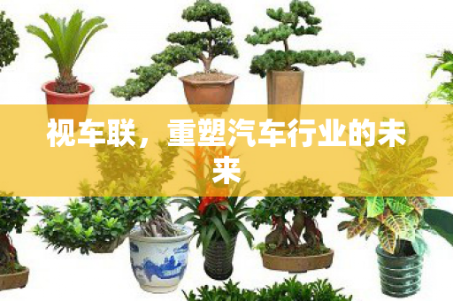 视车联,重塑汽车行业的未来 视车联,重塑汽车行业的未来