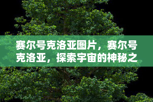 赛尔号克洛亚图片,赛尔号克洛亚,探索宇宙的神秘之旅 赛尔号克洛亚图片,赛尔号克洛亚,探索宇宙的神秘之旅