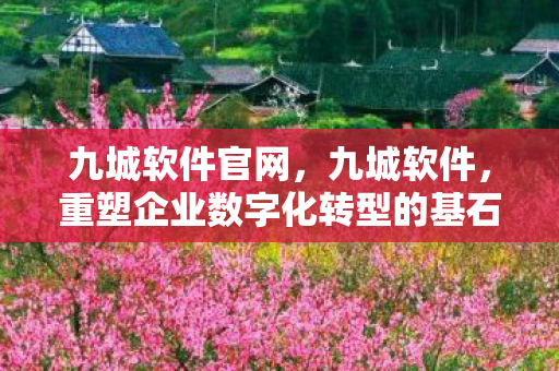 九城软件官网,九城软件,重塑企业数字化转型的基石 九城软件官网,九城软件,重塑企业数字化转型的基石