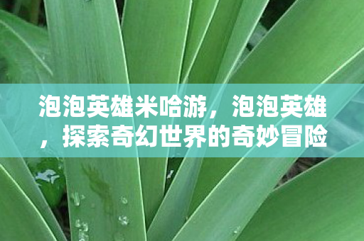 泡泡英雄米哈游,泡泡英雄,探索奇幻世界的奇妙冒险 泡泡英雄米哈游,泡泡英雄,探索奇幻世界的奇妙冒险