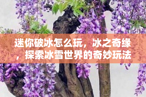 迷你破冰怎么玩,冰之奇缘,探索冰雪世界的奇妙玩法 迷你破冰怎么玩,冰之奇缘,探索冰雪世界的奇妙玩法